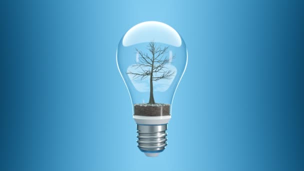 Arbre Vert Poussant Dans Ampoule Fond Bleu Concept Réchauffement Climatique — Video