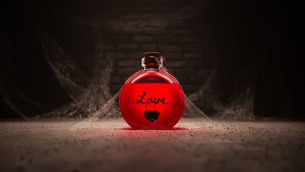 Одна Пляшка Червоного Кохання Знайдена Старому Підвалі Потенційний Еліксир Романтики — стокове відео