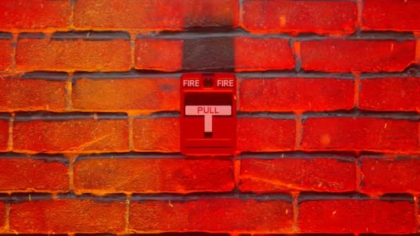 Красная Пожарная Сигнализация Включается Время Растущего Пожара Горячие Оранжевые Угли — стоковое видео