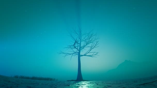 孤独な大きな木のシルエットと抽象的で幻想的なシーン 枝や草の上に葉を育てている 奇妙な方法と人々の星座を持つ謎の風景環境 — ストック動画