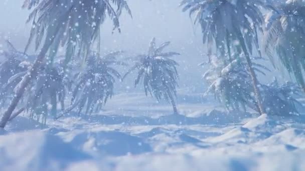 Účinky Globálního Oteplování Tropické Palmy Pohřbily Hlubokou Hustou Sněhovou Bouři — Stock video