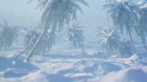 Auswirkungen Der Globalen Erwärmung Tropische Palmen Begruben Tiefen Dichten Schneesturm — Stockvideo