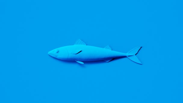 魚のシンプルなブルーモノクロアニメーション マッカーセルのきれいなシルエットでシンプルなショット 新鮮なシーフード オメガ3 ビタミンD 健康的なライフスタイル 薬のコンセプト — ストック動画