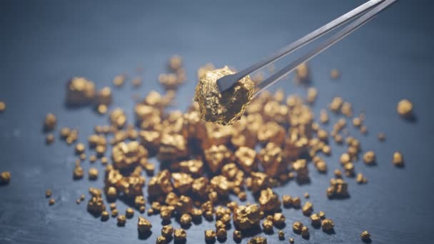 ツイーザーで保持された純粋な光沢のある金のピース 高価な高貴な金属 ゴールデン ナゲット 富のシンボル 大切な宝物 銀行の目的を投資する概念 ジュエリー — ストック動画