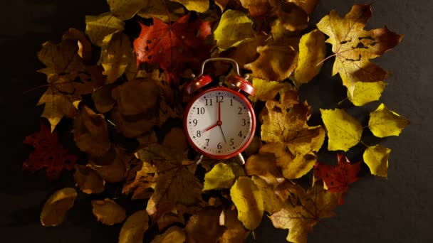 3D动画与秋天树叶上的老时钟 时钟的指针旋转着 叶子的颜色变成了绿色 回去的时间 时间旅行的概念 时光机幻想 — 图库视频影像