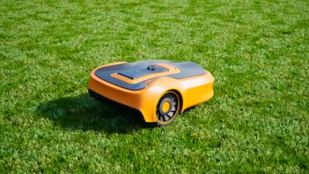 草坪机器人在院子里割草 机器人式割草机修剪草坪 自家院落自动割草机割草 园艺割草用无线智能设备 现代遥感技术 — 图库视频影像