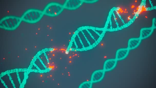 裂解Dna双螺旋的动画 人类细胞分子结构的概念 基因突变的生物技术研究 完美的医疗和医药用途 Cgi渲染4K — 图库视频影像
