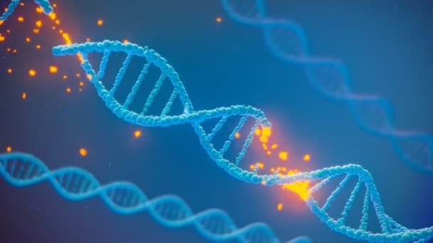 Dnaダブルヘリックスを破壊するアニメーション 人間の細胞の分子構造の概念 遺伝子変異に関するバイオテクノロジー研究 医療や医療目的のために最適です Cgiレンダリング — ストック動画