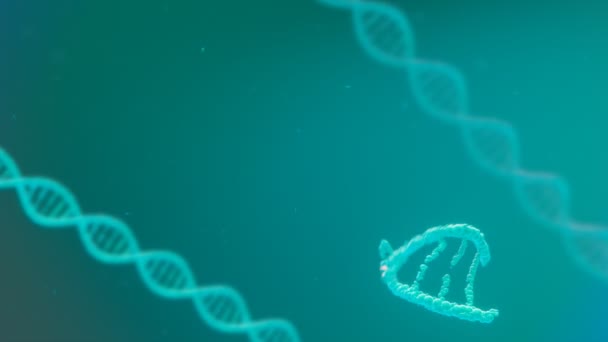 构建Dna双螺旋的动画 人类细胞分子结构的概念 基因突变的生物技术研究 完美的医疗和医药用途 Cgi渲染4K — 图库视频影像