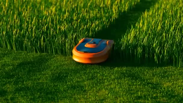 Ein Rasenroboter Mitten Auf Dem Rasenplatz Rasenmäherroboter Mähen Das Gras — Stockvideo