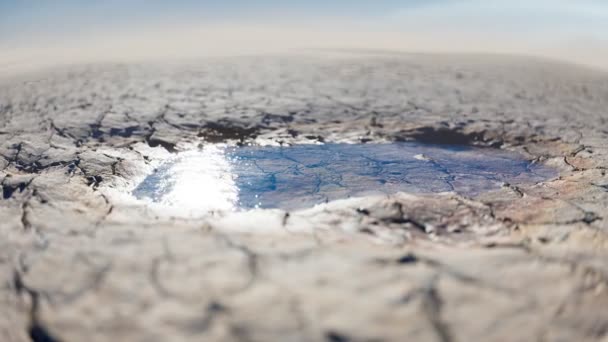 Última Pequena Fonte Água Terras Desérticas Extremamente Secas Calor Sol — Vídeo de Stock