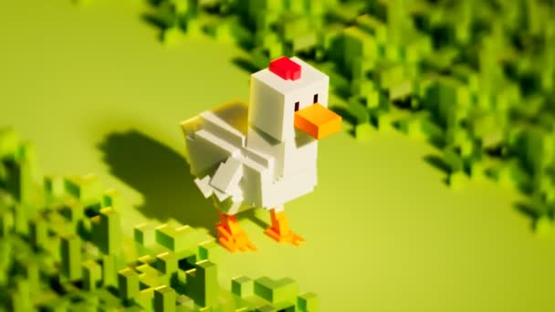 Voxel White Hen Build Small Blocks Walking Slowly Grass Field — Stock Video