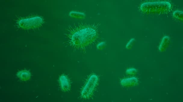 在人体有机体中漂浮着绿色细菌的动画 靠近有触须的微生物 人体的分子结构 微生物学的概念非常适合医疗用途 — 图库视频影像
