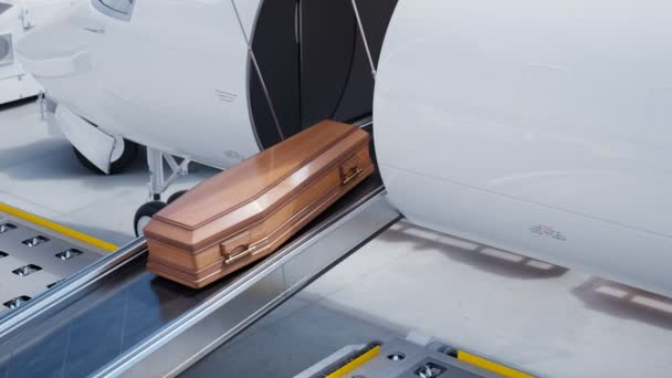 Wooden Coffins Conveyor Belt Moving Straight Aircraft Compartment Transportation System — Stock Video