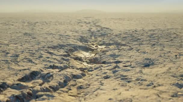 Droge Woestijn Zand Langzaam Verandert Een Weelderige Groene Weide Als — Stockvideo