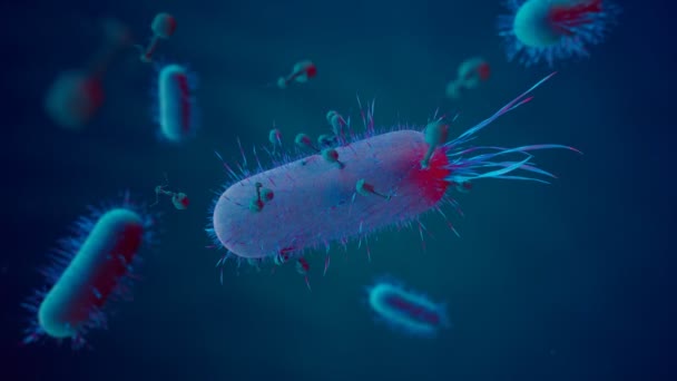 Анімація Бактеріофагами Атакують Клітини Бактерій Ідеально Підходить Медичних Медичних Цілей — стокове відео