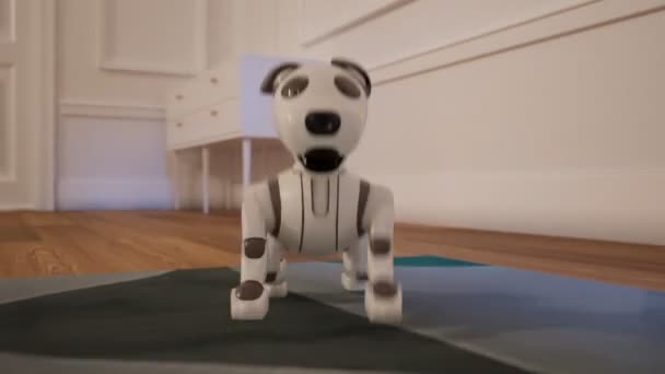 Cartoon Animation Cheerful Robot Puppy Little Dog Running House Close — Stock Video