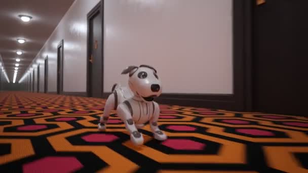 Animação Com Pequeno Brinquedo Robótico Cachorro Inteligente Correndo Pelo Longo — Vídeo de Stock