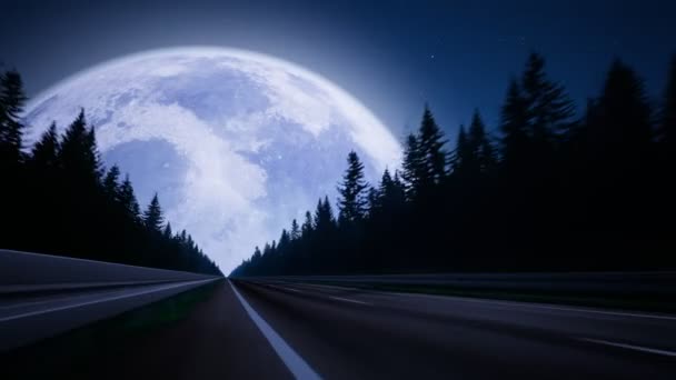 Camino Sin Fin Bosque Durante Noche Luna Grande Final Carretera — Vídeos de Stock