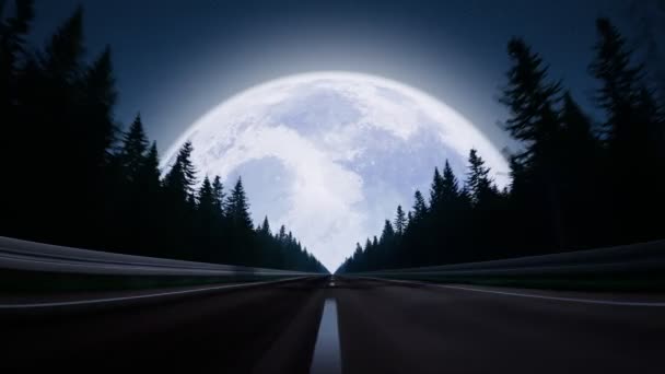 夜の森の中の果てしない道 道路の端にある大きな月 空の道の真ん中に速い乗り物のPov カントリーロードの美しい星空の夜景 誰もいない — ストック動画