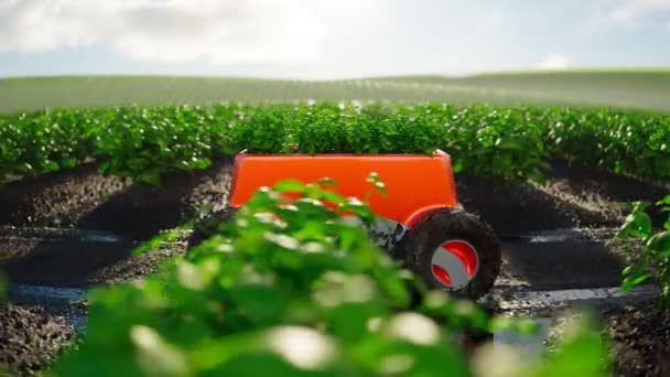 Ein Autonomer Orangefarbener Lieferroboter Transportiert Frisch Gepflückte Pflanzen Durch Ein — Stockvideo