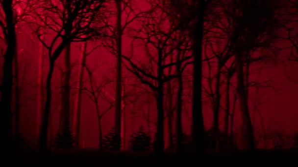 冬の森や公園の路地のシームレスなループアニメーション 田舎の車線の冷たい景色 または濃い霧の中の裸の木の間のトレイル 神秘的で 暗い気分だ ハロウィーン ホラーの風景 — ストック動画