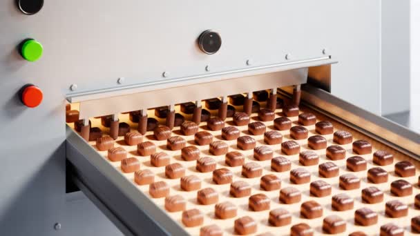Automated Production Line Chocolate Pralines Factory Různé Odstíny Vůně Čokolády — Stock video