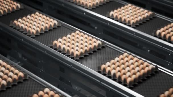 卵で満たされた生産ライン コンベヤベルトで絶えず動くのに十分に満ちている卵箱 食品工場について 自動パッキング システム 無限のループアニメーション Cgiについて — ストック動画