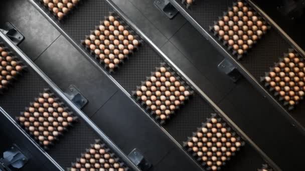 装满鸡蛋的生产线的顶部视图 蛋盒里塞满了不停地运动的输送带 食品制造厂 自动包装系统 无尽的循环动画 Cgi — 图库视频影像