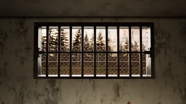 Zicht Vanuit Een Gevangenisraam Door Stalen Tralies Metalen Hek Met — Stockvideo