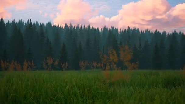 Красивий Зелений Пишний Хвойний Ліс Швидко Засмічується Непотрібним Сміттям Протягом — стокове відео