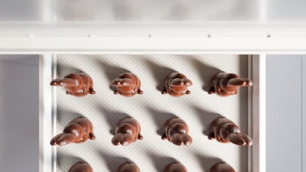 Vue Dessus Bande Transporteuse Avec Nombreux Lapins Chocolat Chocolat Pâques — Video