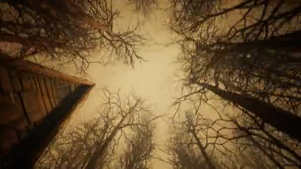 Animacja Pętli Leśnych Bez Liści Sepia Stonowana Scena Zawiera Małe — Wideo stockowe