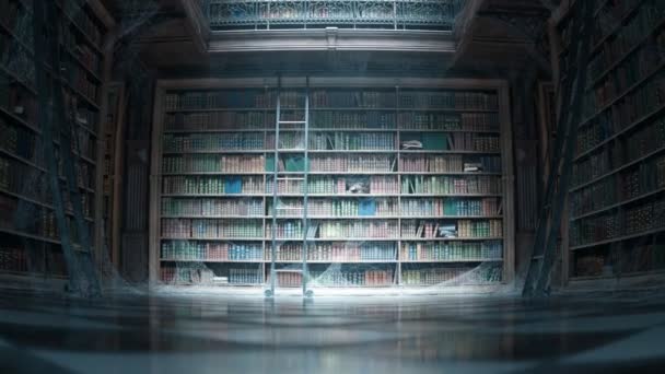 Eine Alte Klassische Bibliothek Mit Regalen Voller Schöner Bücher Eine — Stockvideo