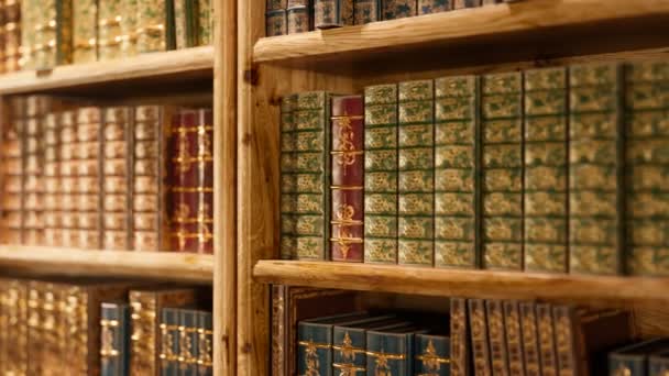 Sayısız Kitapla Dolu Raflarla Çevrili Eski Bir Ahşap Kütüphanenin Derinliklerinde — Stok video