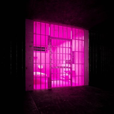 Empty pink cell in a prison block. Colour chose to pacify, calm down, aggressive criminals serial killers, psychos, insane inmates. Well deserved time behind metal bars for brutal crimes. clipart