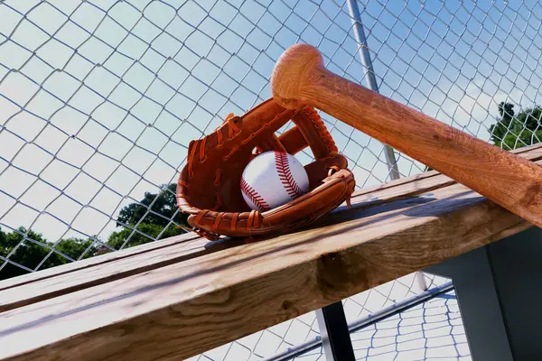 Baseball glove with ball and bat at a wooden bench. Baseball accessories. Sports gear. Break in a game. Major League Baseball. American sport. Open green field, with the sun shining down. Playground