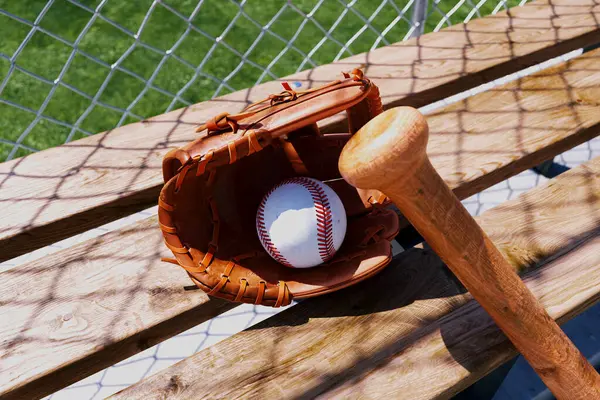 Baseball glove with ball and bat at a wooden bench. Baseball accessories. Sports gear. Break in a game. Major League Baseball. American sport. Open green field, with the sun shining down. Playground