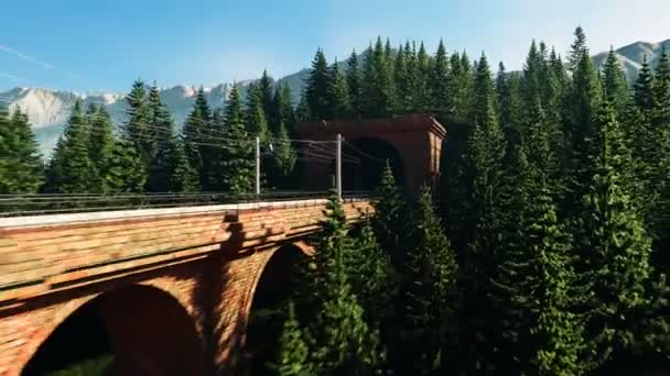 Vysokorychlostní Střelecký Vlak Rychle Pohybuje Přes Vysoký Most Tyčící Nad — Stock video