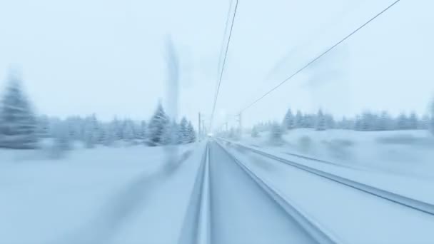 Höghastighetståg Zoomar Genom Snötäckt Skog Vintern Med Snöflingor Faller Kraftigt — Stockvideo