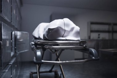 Bir görüntüde morgda beyaz bir bezle kaplanmış bir ceset görülüyor. Cenaze törenini ya da diseksiyonu bekliyorum. Oda insan kalıntılarının soğutulduğu morg dolaplarıyla dolu.