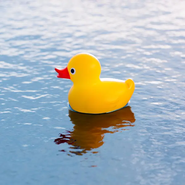 Rubber duck floating in the swimming pool. Cute yellow toy in the water. Plastic duckling ready for child\'s fun. Joyful and cheerful atmosphere. Time for play.  Sunny day.