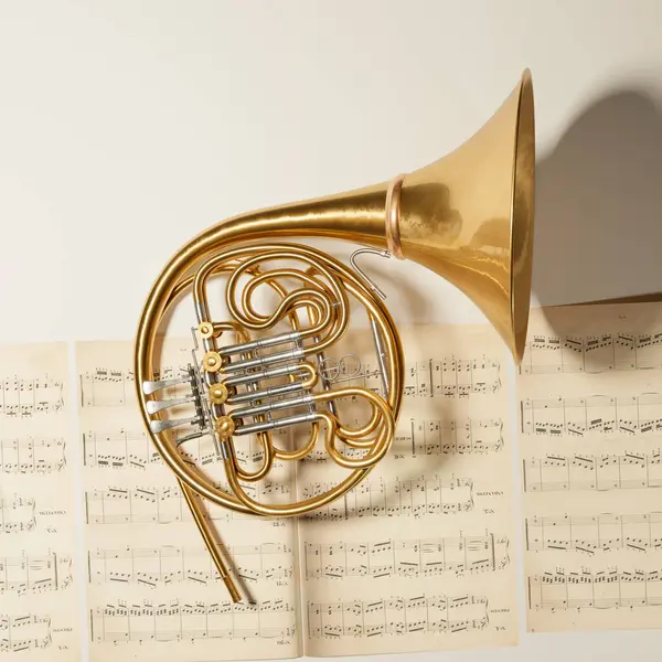 Vista Superior Cuerno Francés Poner Hojas Notas Musicales Instrumento Latón —  Fotos de Stock