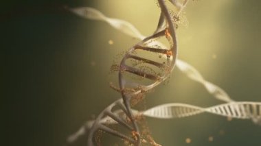 Altın parçacıklı DNA sarmalı. Üç tel dönüyor, büyüleyici bir görsel etki yaratıyor. Genetik ve moleküler biyoloji alanındaki bilimsel araştırma ve tıbbi yenilikler.