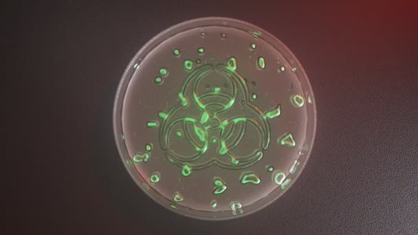 Microorganismo Fluorescente Verde Vibrante Cresce Rapidamente Uma Placa Petri Formando — Vídeo de Stock