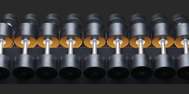 Etkileyici sıra halterler sağlam bir askıya dizilmişti. Bu birinci sınıf fitness aletleri her ciddi spor için gereklidir. Farklı fitness seviyelerine uyum sağlamak için çeşitli ağırlıklar