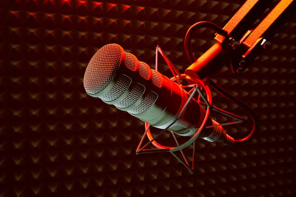 Close View Capturing Details Professional Studio Microphone Red Shock Mount — Stock Photo, Image