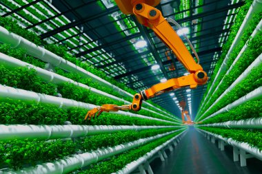 Hassas robot bilimi tarımda devrim yaratıyor: verimli bir otomatikleştirilmiş kol son teknoloji hidrofonik dikey tarım tesisinde verimli bir yeşillik içinde çalışıyor.