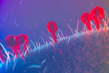 Bu yüksek çözünürlüklü 3D görüntüleme bir bakteri enfekte olarak bir bakteri yakalar, bilimsel, tıbbi ve eğitim uygulamaları için uygun karmaşık detaylar gösterir.