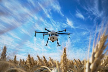 An advanced agricultural drone hovers methodically over a lush wheat field, dispensing treatment with precision against the serene backdrop of a clear blue sky. Emphasizes modern sustainable farming. clipart